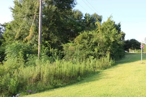 Jasper Land with Development Potential