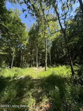 Prime Goshen Estate Building Lot