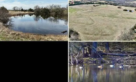 Farmland with Ponds and Wooded Areas