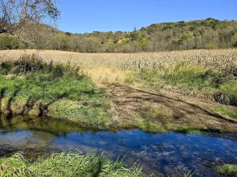 Hunting Land with Hardwood Timber
