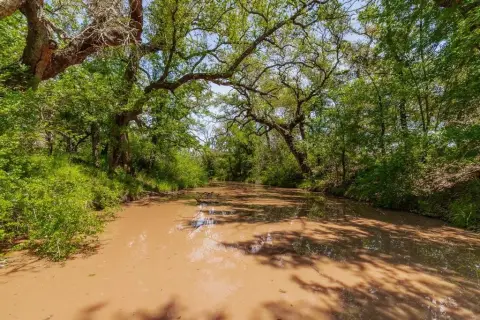 Texas Ranch with Creek Frontage