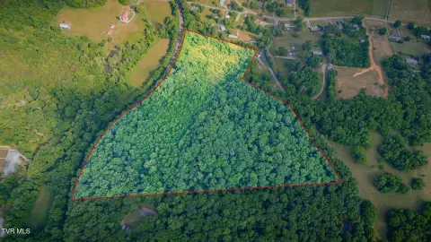 Greeneville Acreage: Wooded Homesite Potential