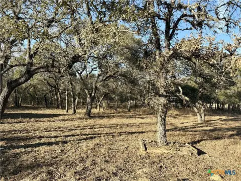 Unrestricted Land in Hallettsville, TX