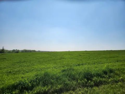 Buildable Lot in Lake Carroll