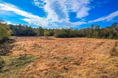 Aiken Pasture Ready Land