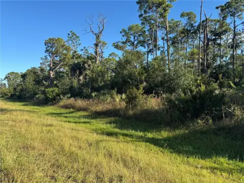 Residential Land in Port Charlotte