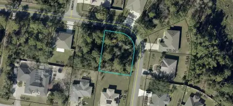 Residential Land in Palm Coast