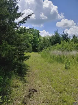 Heavily Wooded Recreation Land