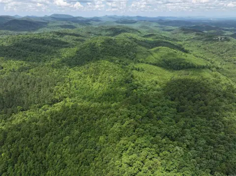 200 Acres Bordering National Forest