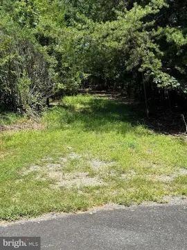 Wooded Cul-de-Sac Lot in Subdivision