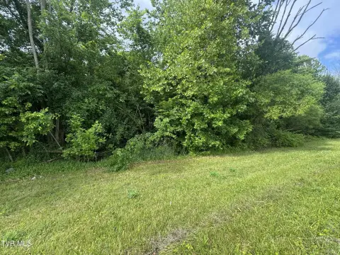 Commercial Land on Highway 11W