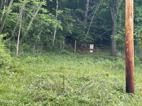Wooded Acreage in Butler, TN