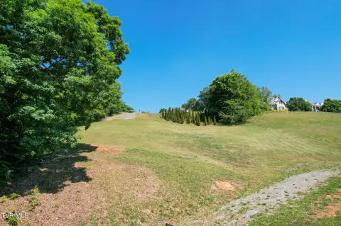 Residential Land in Johnson City
