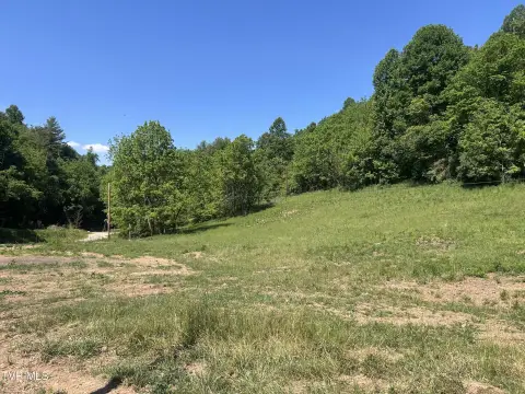 34 Acres in Butler, TN