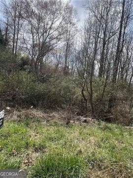 Wooded Lot in Douglasville