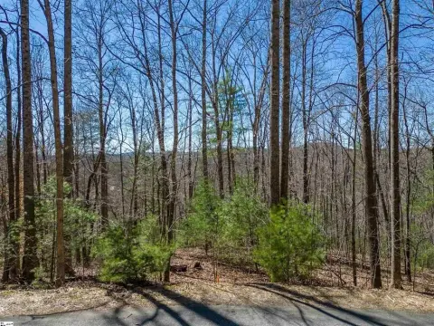 Blue Ridge Mountain Homesite