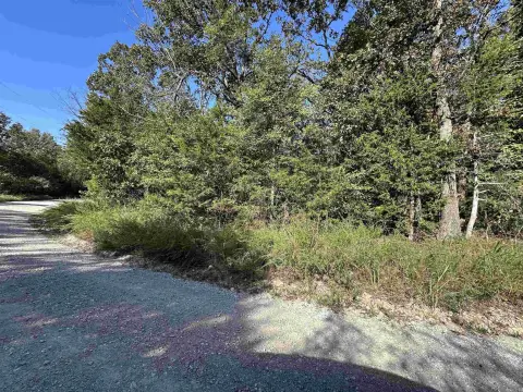 Ozark Mountain Land in Flippin