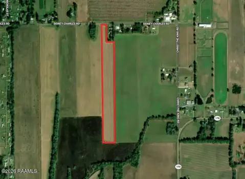 Cane-Producing Farm