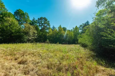 Wooded Hunting Land with Storage