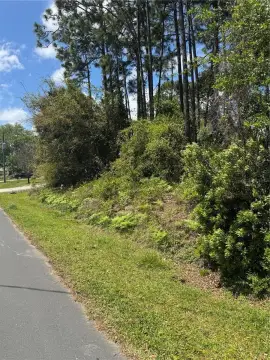 Residential Land in Palm Coast