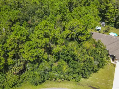 Duplex Zoned Lot in Palm Coast