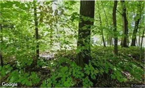 Residential Land in Shorewood, MN