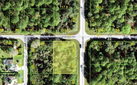 Double Corner Lot in Florida