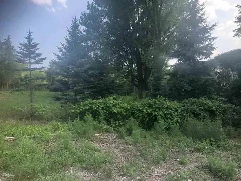 Treed Lot in Romeo School