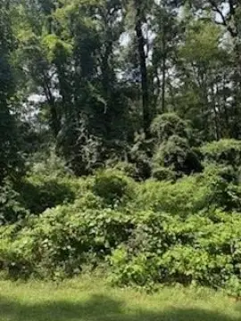 Residential Lot in Pendleton Harbor