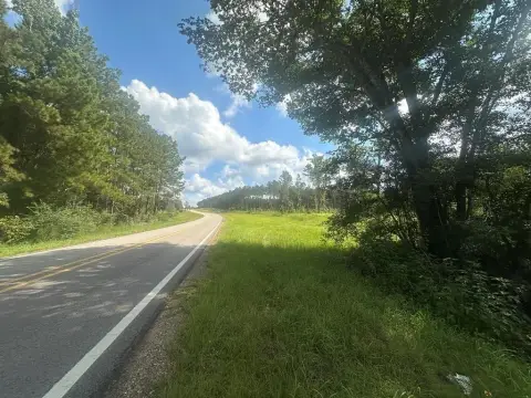 Jasper Land with Road Frontage