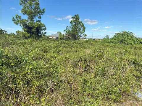 Residential Land in Lehigh Acres