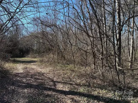 Yadkinville Land with Development Potential