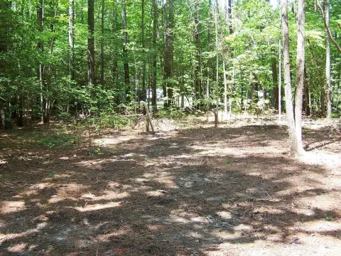 Wooded Lot with Utilities