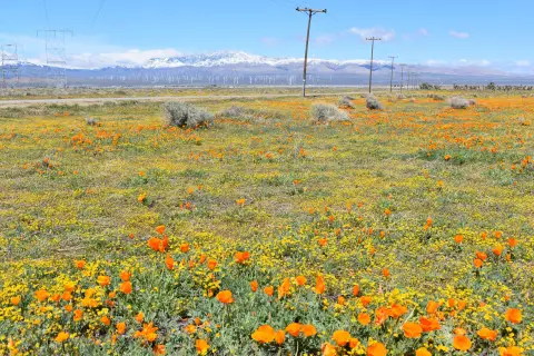 Fairmont Residential Corner Lot