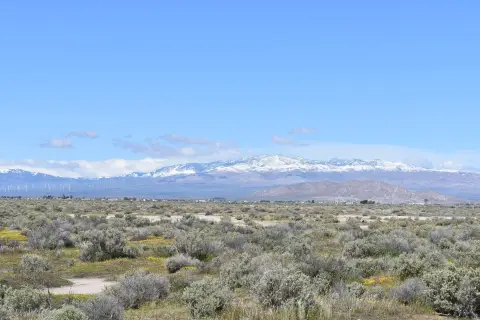 Antelope Acres Land For Sale