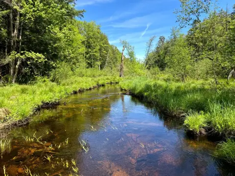 Wooded Waterfront Recreation Land
