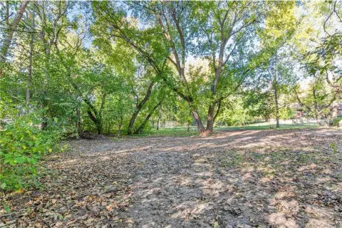 Wooded Lot in White Bear