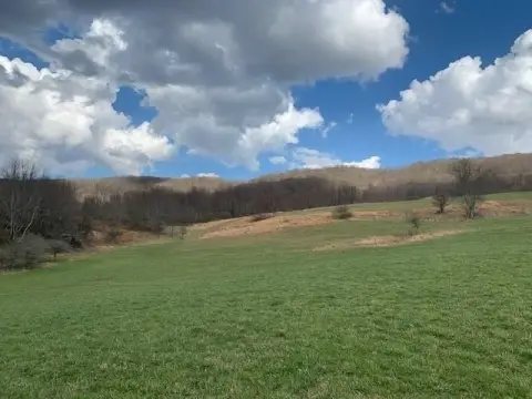 Wooded And Pasture Land