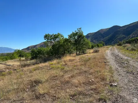 53 Acres in Santaquin, UT