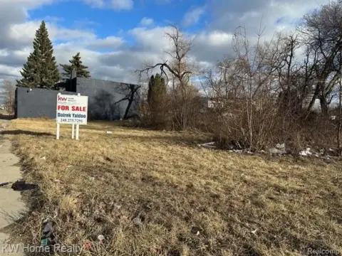 Detroit Commercial Vacant Land For Sale