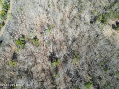 Wooded Recreational Land Tract