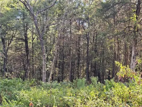 Wooded Rural Land