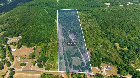 Wooded Hunting Land