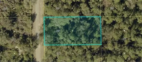 Homesite in Alva, Florida