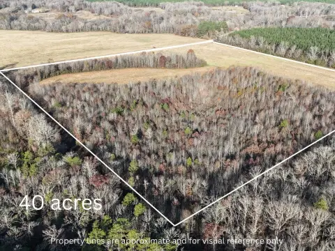 40 Acres in Conway County