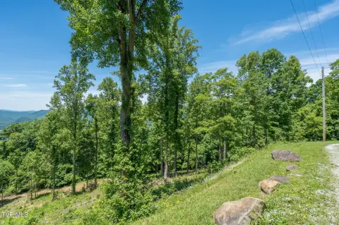 Land in Sunset Estates, Unicoi