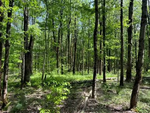 Countryside Home and Recreation Land