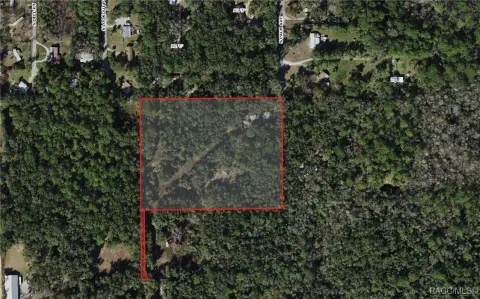 Spacious Homosassa Land Opportunity