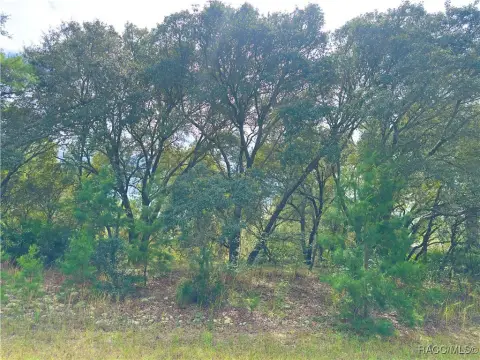 Residential Land in Citrus Springs