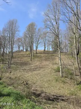 Roan Mountain Land with Views